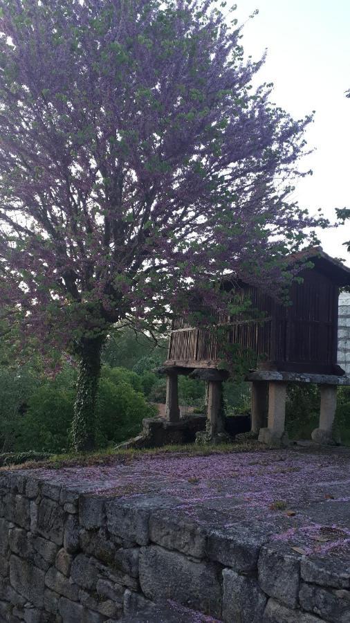 Casa Rural Torre Lombarda Allariz Exterior foto
